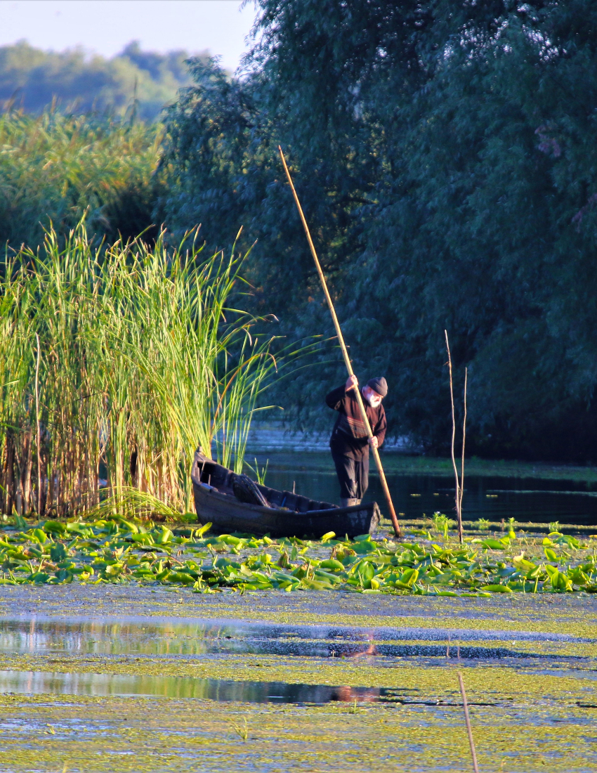 The Waterways of Danube Delta - Biosphere Reserve
