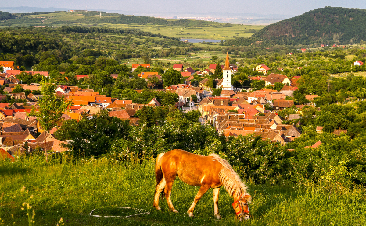 Horseback in the hills of Transylvania - a medieval experience